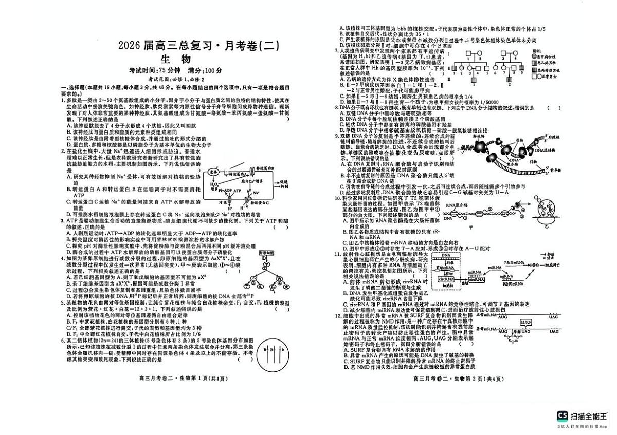 陕西省永寿县中学2025-2026学年高三上学期月考（二）生物试题第1页