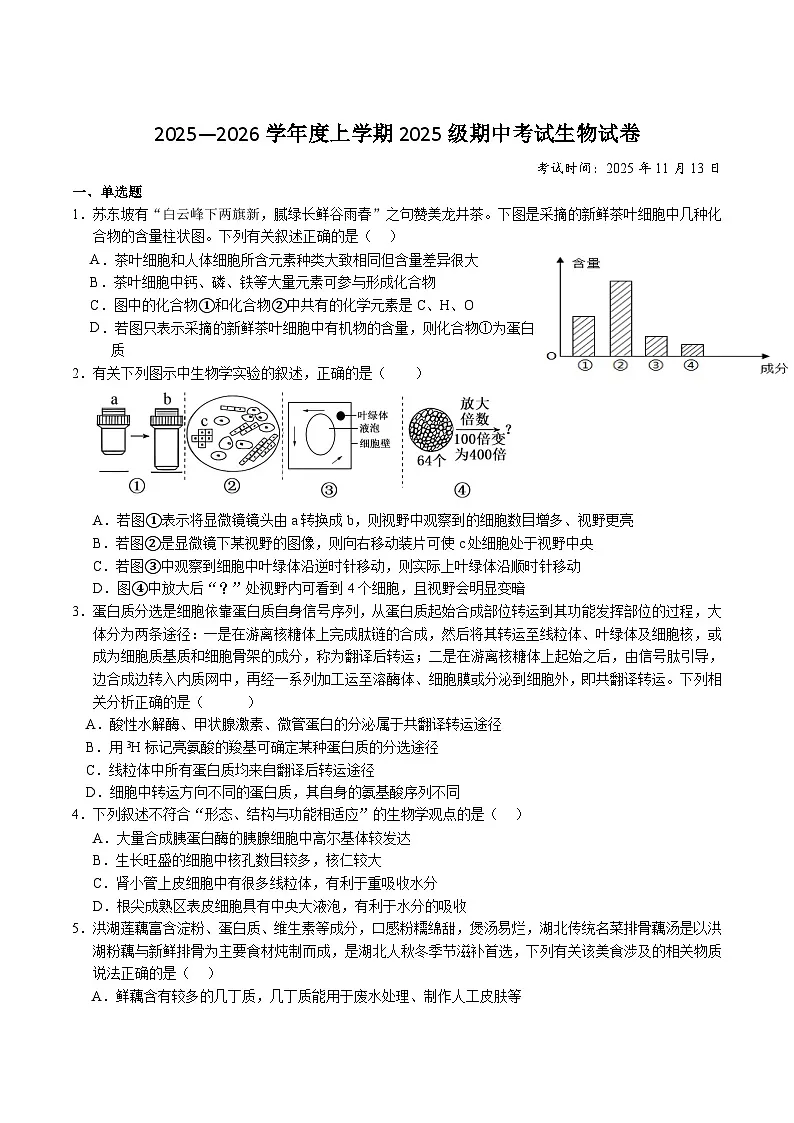 湖北省荆州市重点高中2025-2026学年高一上学期11月期中生物考试 （含答案）第1页