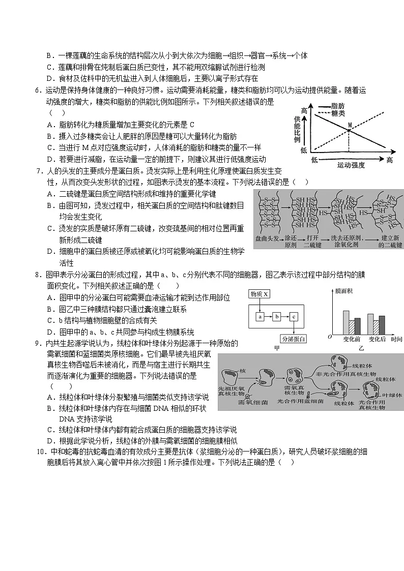 湖北省荆州市重点高中2025-2026学年高一上学期11月期中生物考试 （含答案）第2页