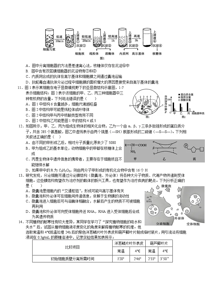 湖北省荆州市重点高中2025-2026学年高一上学期11月期中生物考试 （含答案）第3页