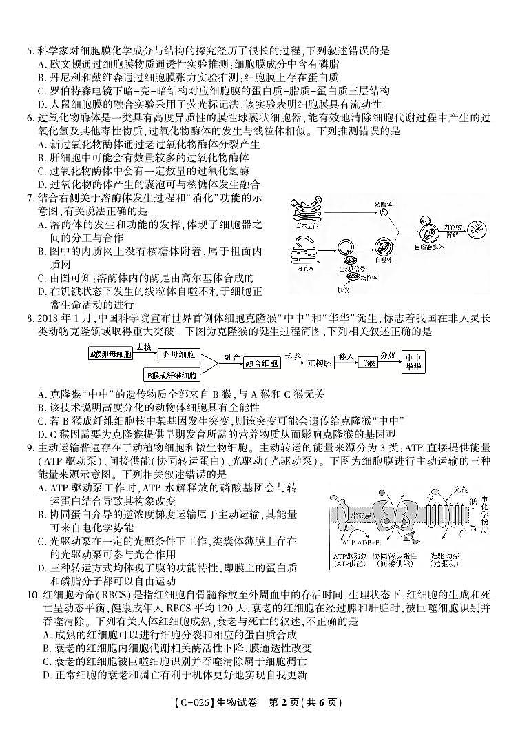生物试题·江西省九校重点中学2026届高三年级第一次联合考试（无答案）第2页