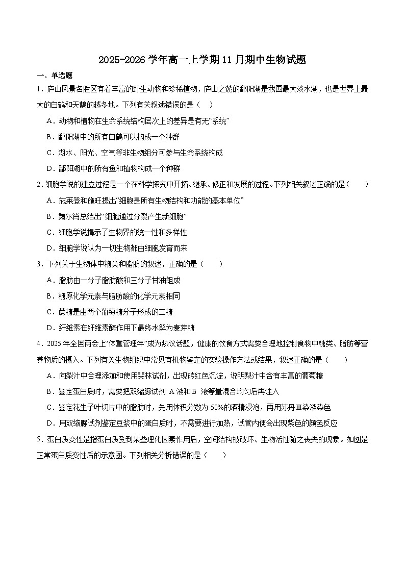 湖南省顶级名校2025-2026学年高一上学期11月期中生物考试 （含答案）第1页
