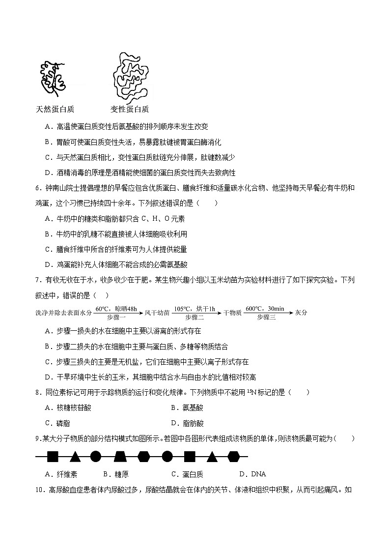 湖南省顶级名校2025-2026学年高一上学期11月期中生物考试 （含答案）第2页