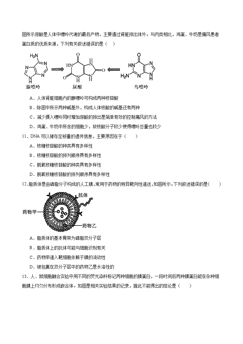 湖南省顶级名校2025-2026学年高一上学期11月期中生物考试 （含答案）第3页