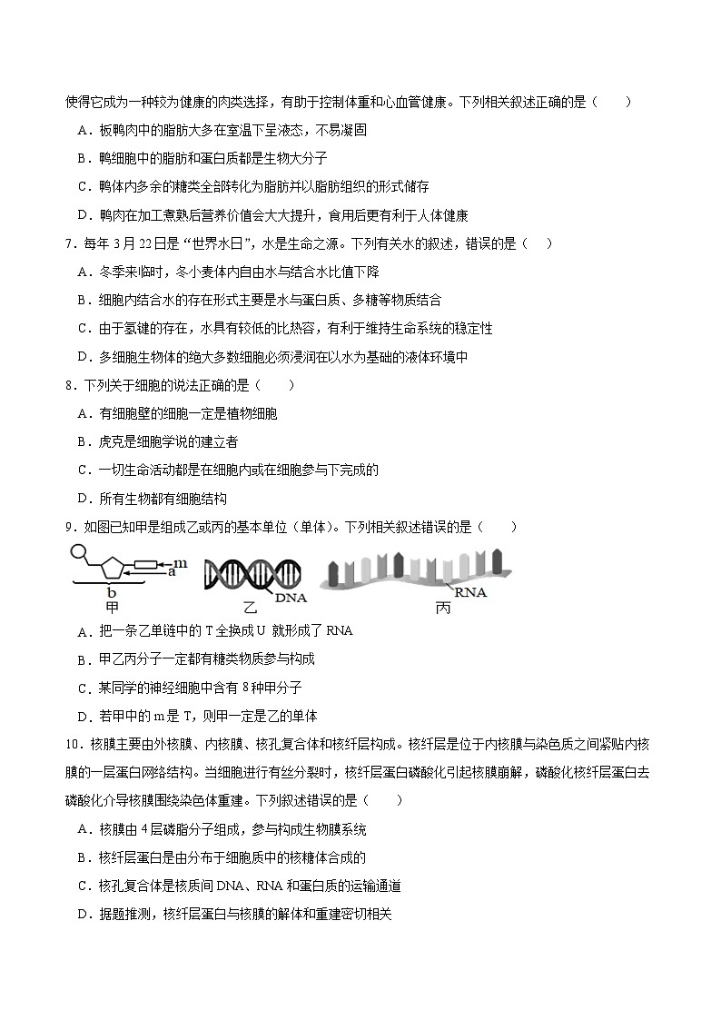 山西省大同市重点高中2025-2026学年高一上学期11月期中生物考试（含答案）第2页