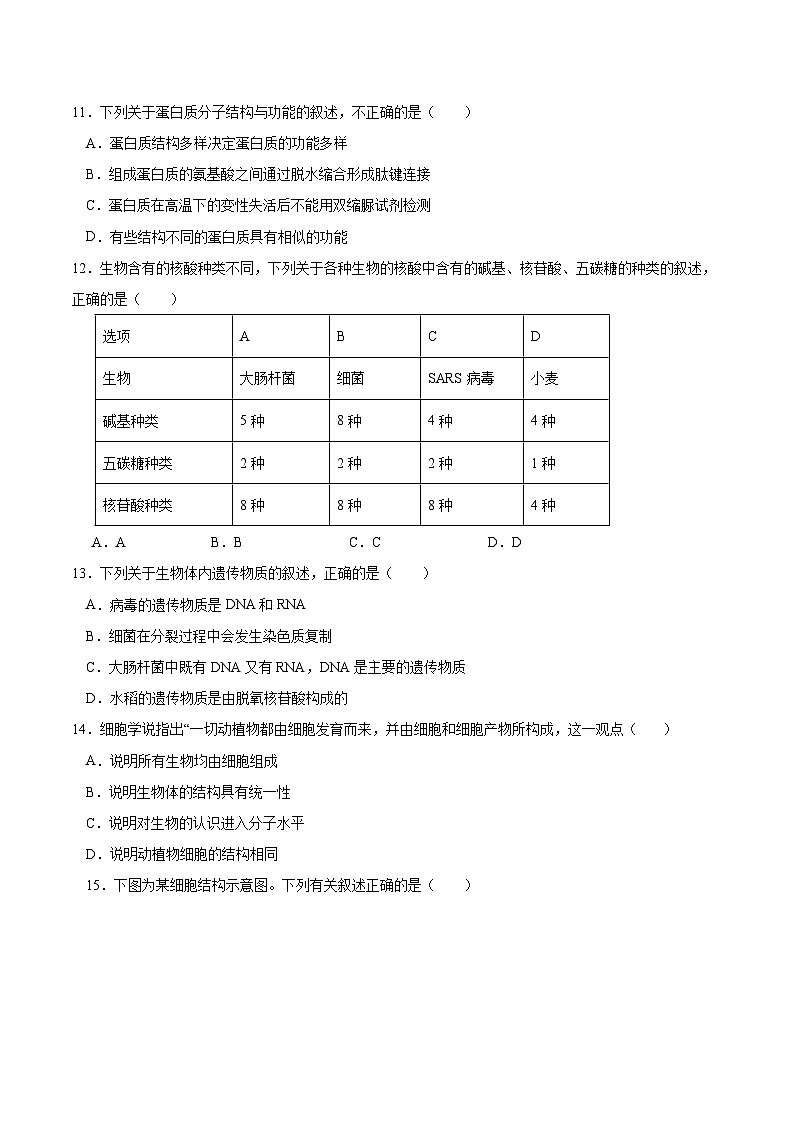 山西省大同市重点高中2025-2026学年高一上学期11月期中生物考试（含答案）第3页