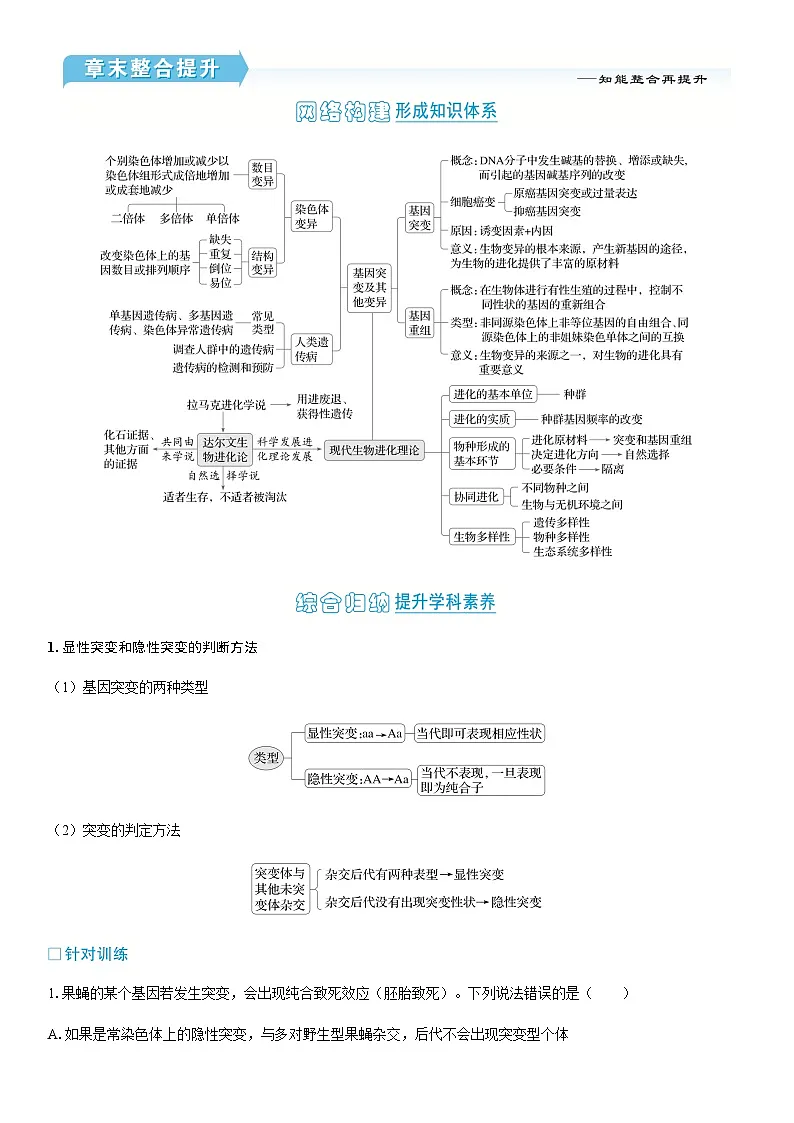 第6章 章末整合提升学案高中生物学人教版（2019）必修2 遗传与进化第1页