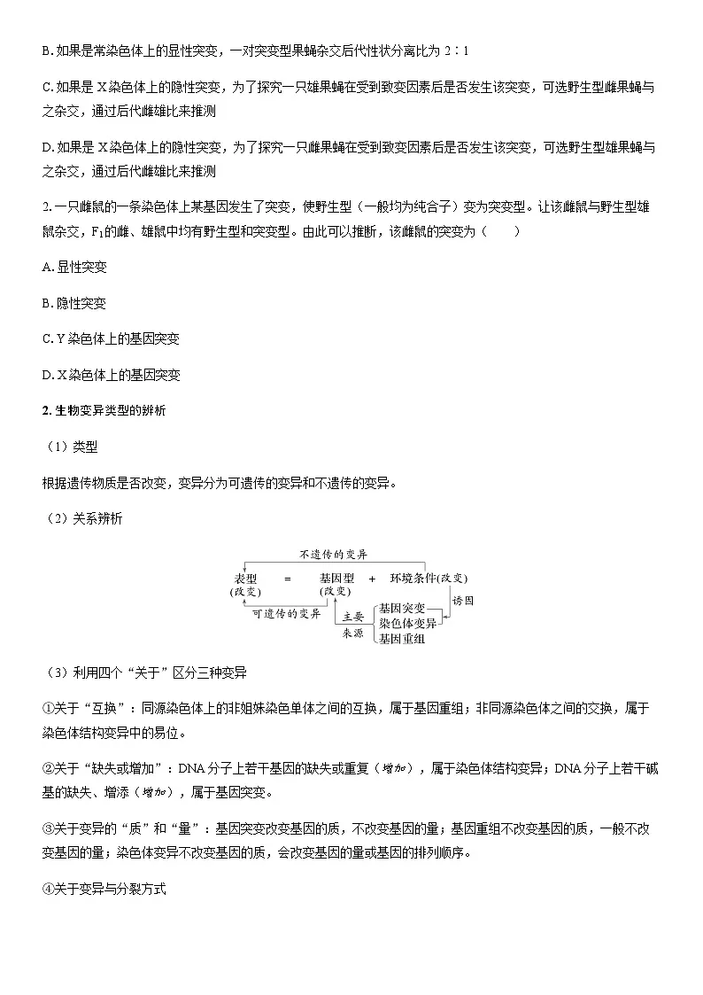 第6章 章末整合提升学案高中生物学人教版（2019）必修2 遗传与进化第2页