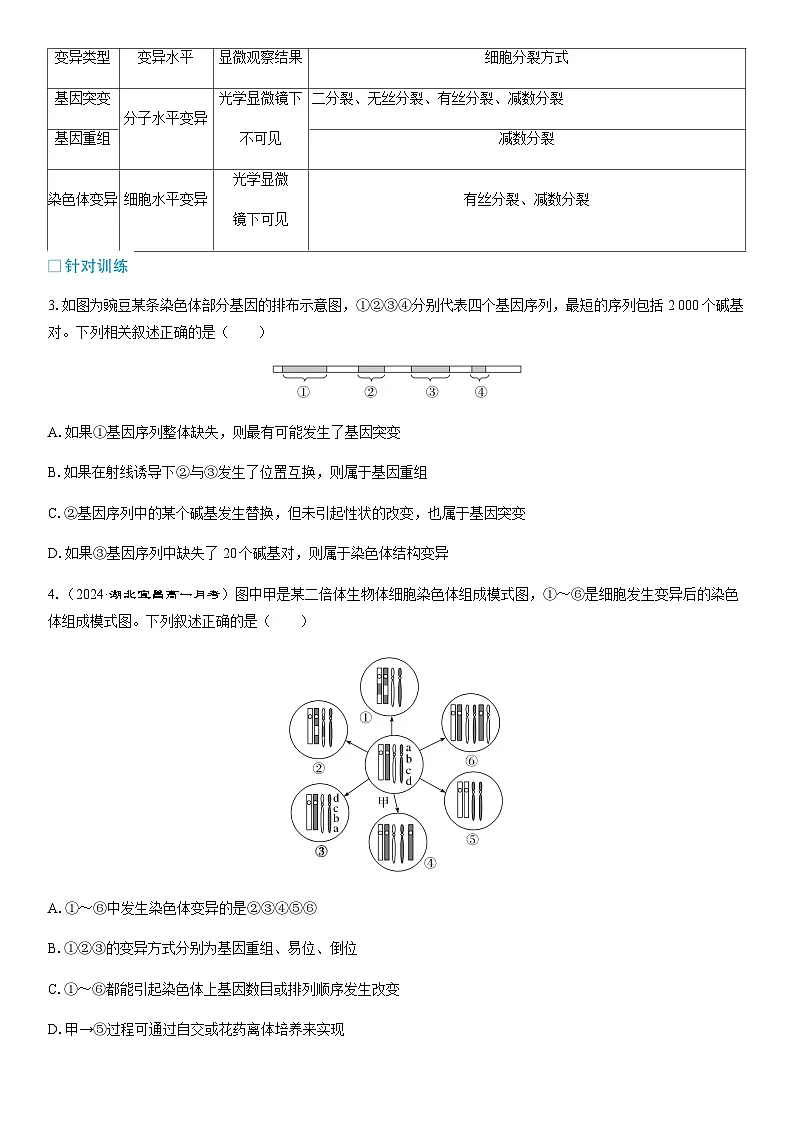 第6章 章末整合提升学案高中生物学人教版（2019）必修2 遗传与进化第3页