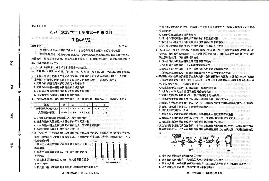 山东省潍坊市2024-2025学年高一上学期期末考试生物试题第1页