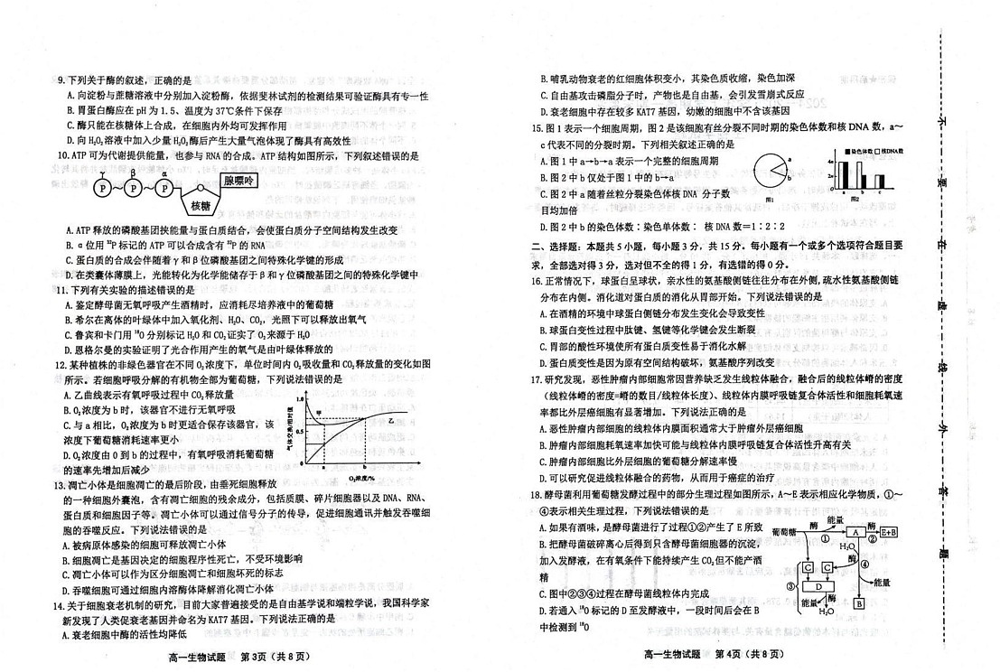 山东省潍坊市2024-2025学年高一上学期期末考试生物试题第2页