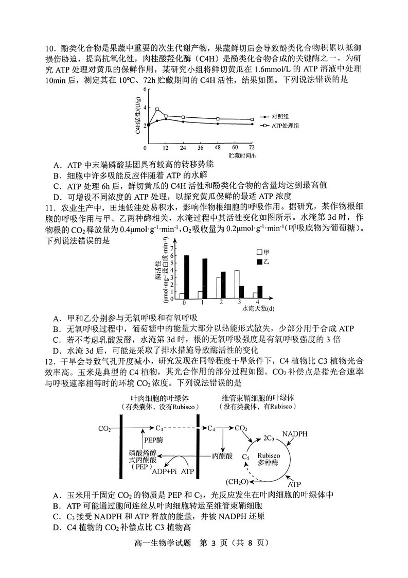 山东省淄博市2024-2025学年高一上学期1月期末考试生物试题第3页