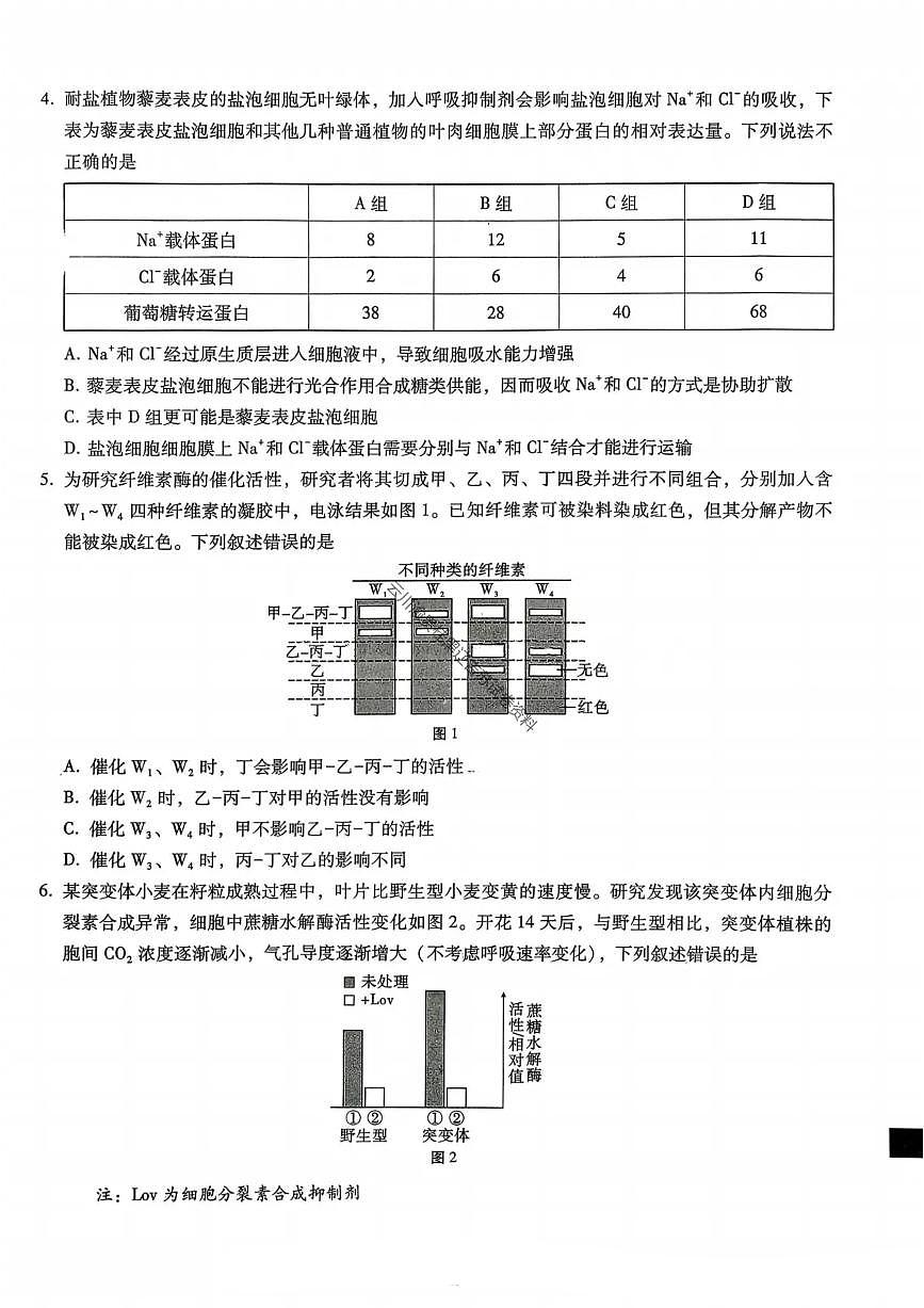 重庆市巴蜀中学2026届高三上学期11月适应性月考卷（四）生物试卷+答案第2页
