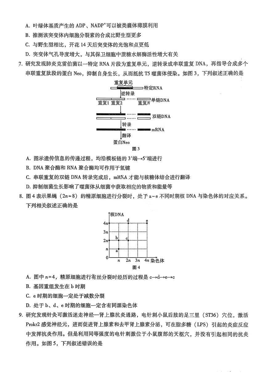 重庆市巴蜀中学2026届高三上学期11月适应性月考卷（四）生物试卷+答案第3页