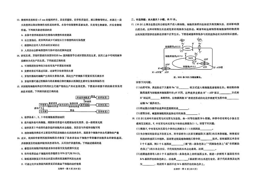 昆明市第一中学2026届高三上学期11月第四次联考生物试卷+答案第3页