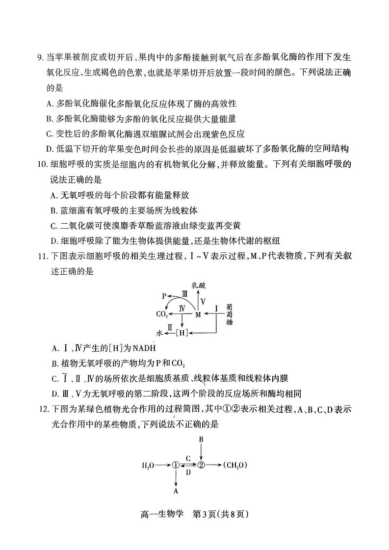 山西省吕梁市2024-2025学年高一上学期期末调研测试生物学试题第3页