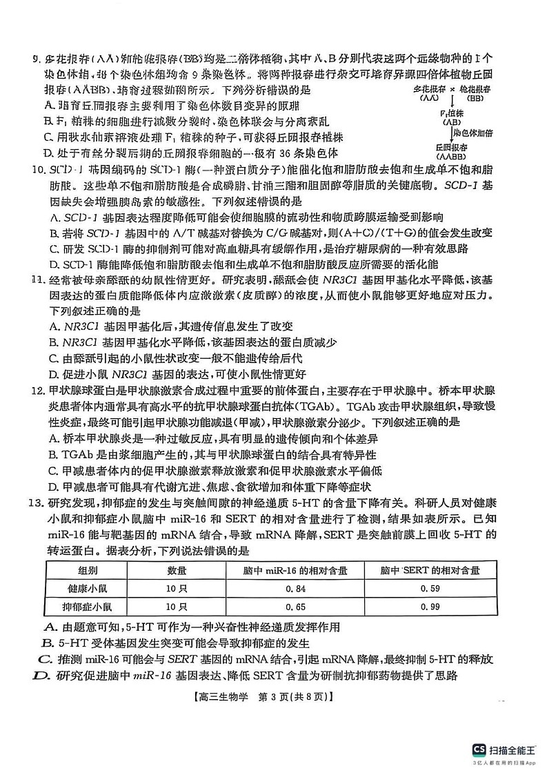陕西省商洛市2024-2025学年高三上学期期末教学质量监测生物试卷第3页