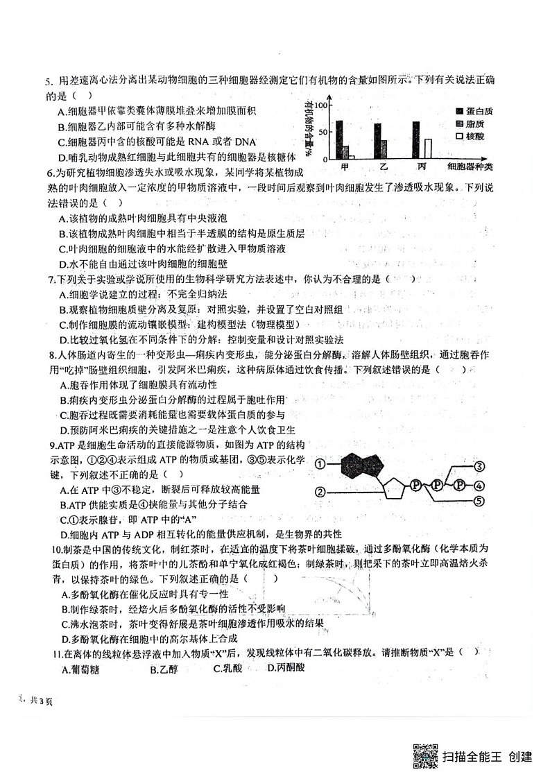 陕西省汉中市十校联盟2024-2025学年高一上学期期末考试生物试卷第2页