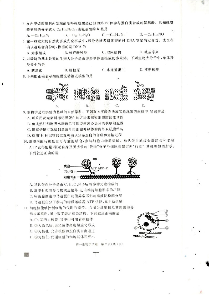 四川省巴中市2024-2025学年高一上学期期末考试生物学试题第2页