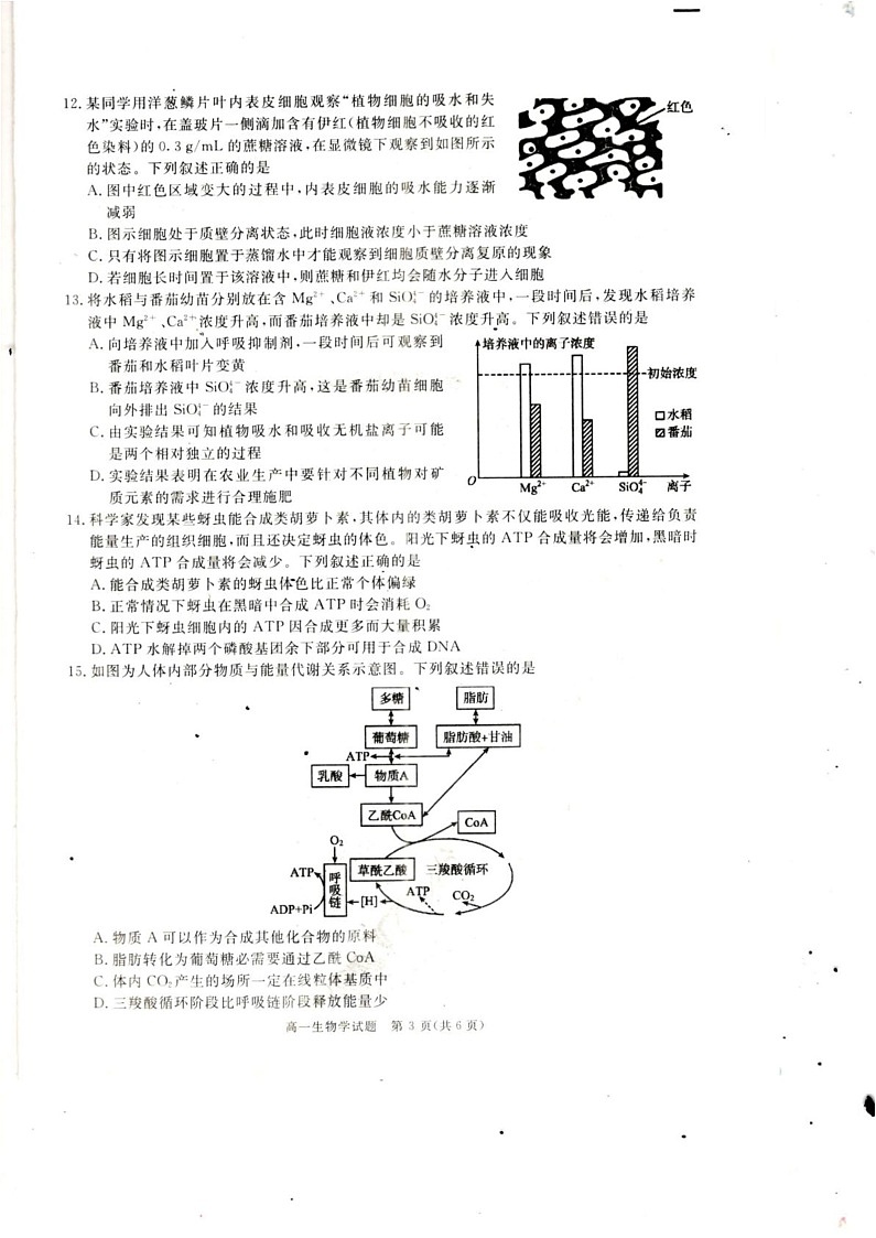四川省巴中市2024-2025学年高一上学期期末考试生物学试题第3页