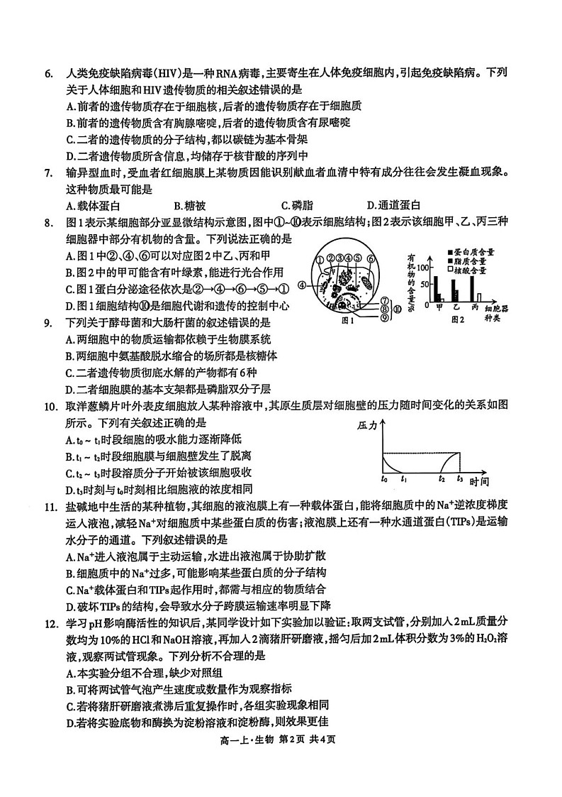 四川省泸州市2024-2025学年高一上学期期末统一考试生物学试题第2页