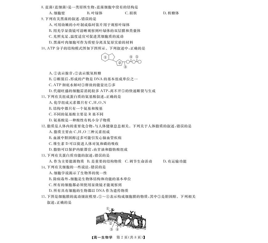 浙江省强基联盟2025-2026学年高一上学期11月期中考试生物试卷（含答案）第2页