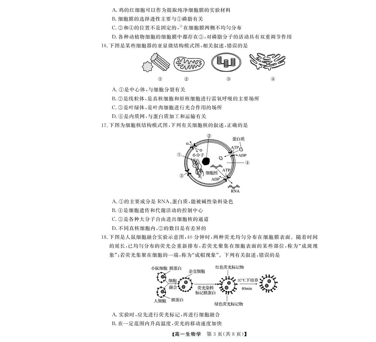 浙江省强基联盟2025-2026学年高一上学期11月期中考试生物试卷（含答案）第3页