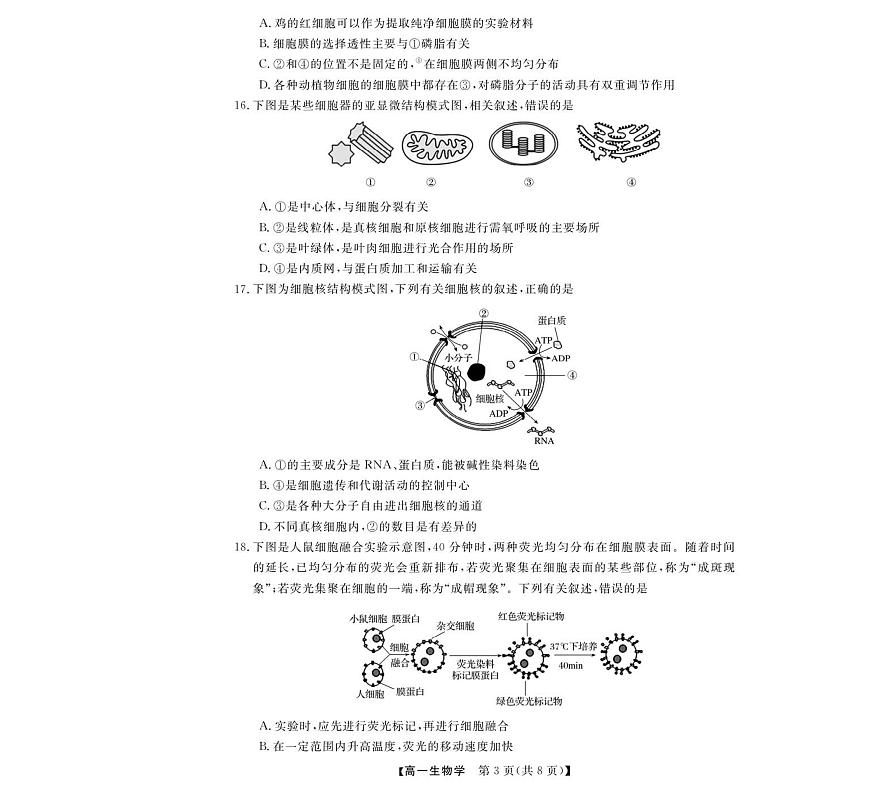 浙江省强基联盟2025-2026学年高一上学期11月期中考试生物试卷（含答案）第3页