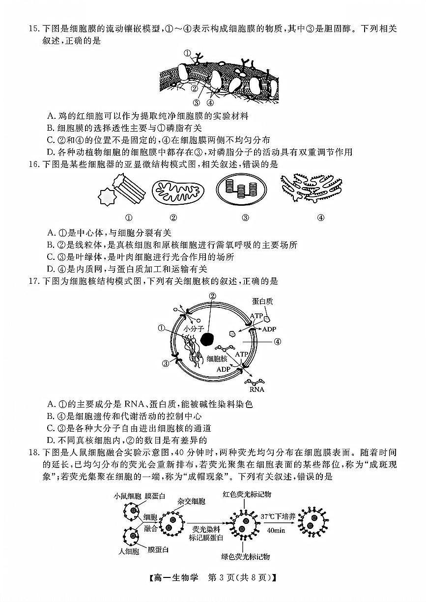 浙江省卓越高中联盟2025-2026学年高一上学期11月期中联考生物试卷（含答案）第3页