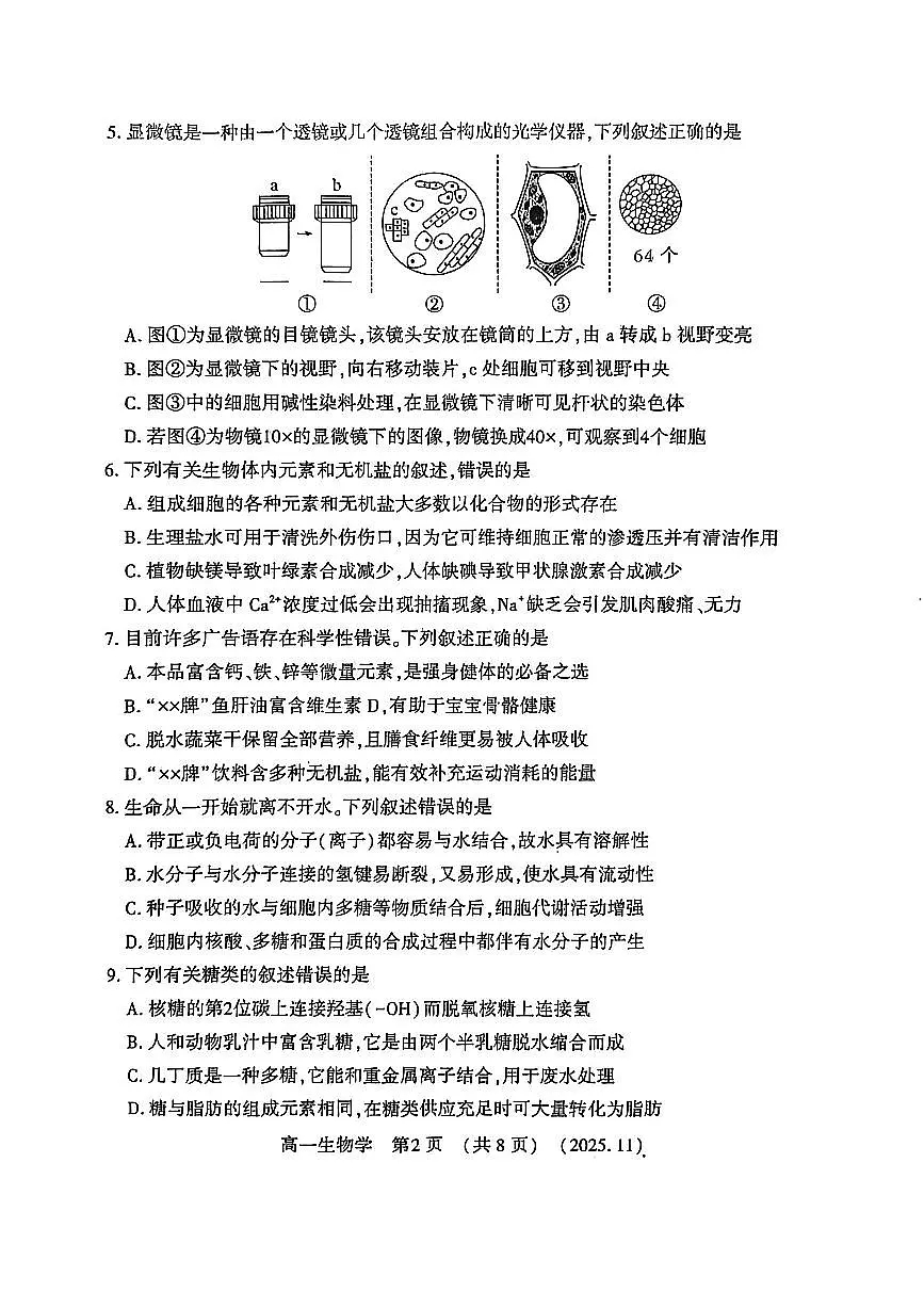 河南省洛阳市2025—2026学年第一学期11月期中考试高一生物试卷含答案第2页