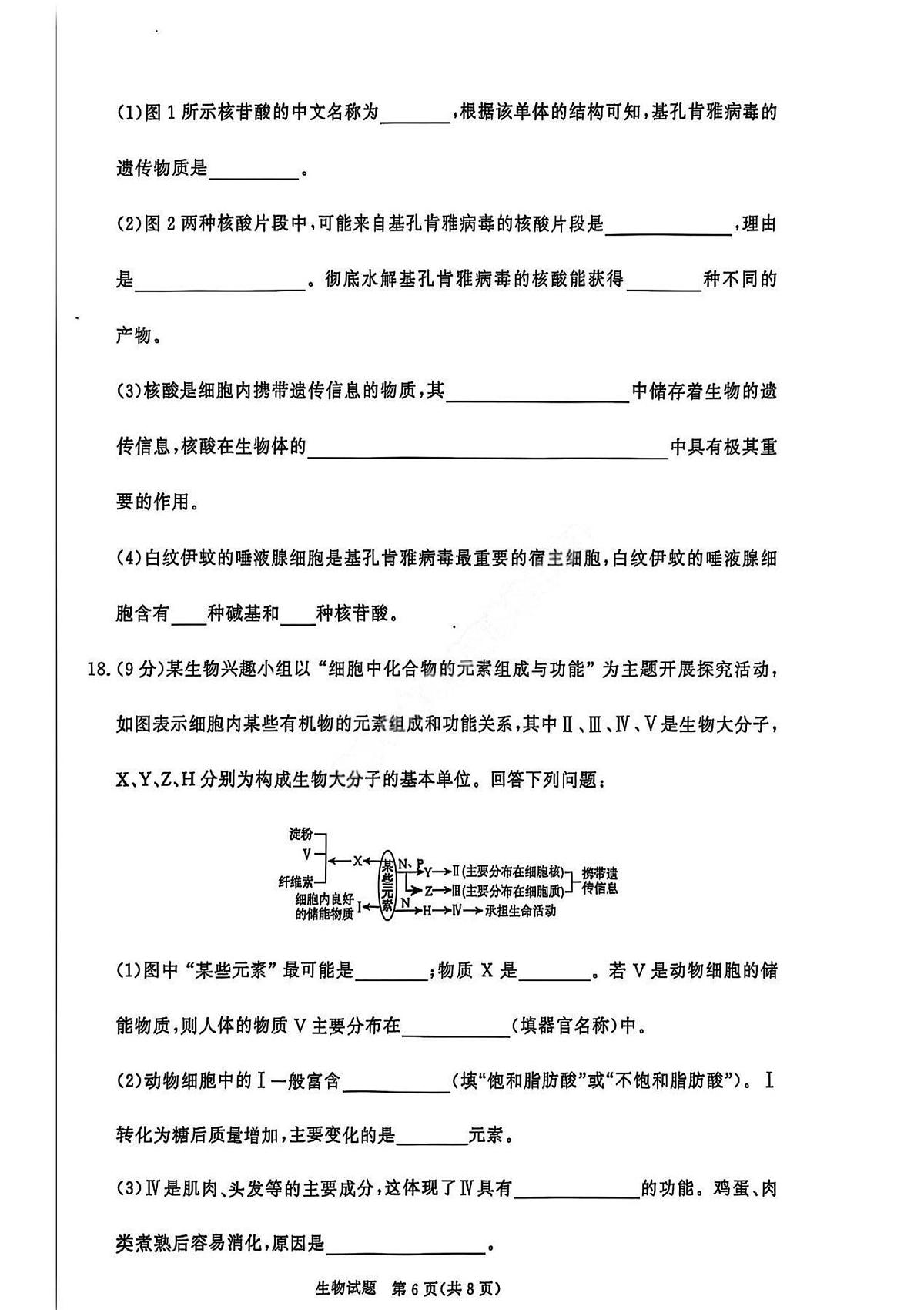 河南青铜鸣大联考2025-2026学年上学期高一期中考试生物试卷（含答案）第3页