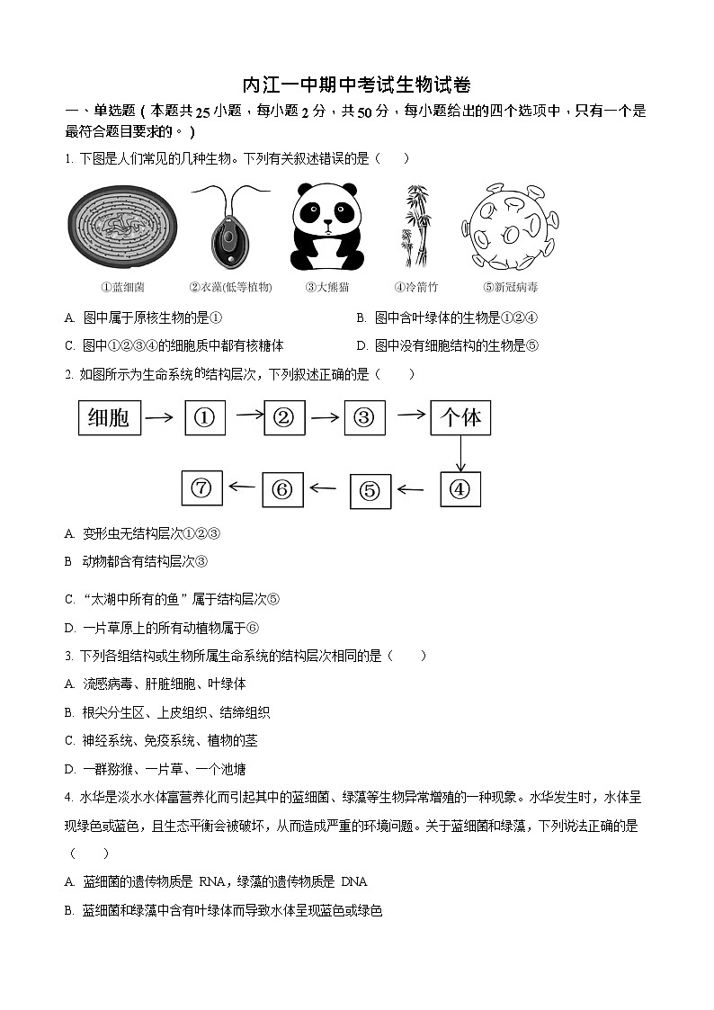 四川省内江市第一中学2025-2026学年高一上学期11月期中考试生物试卷第1页