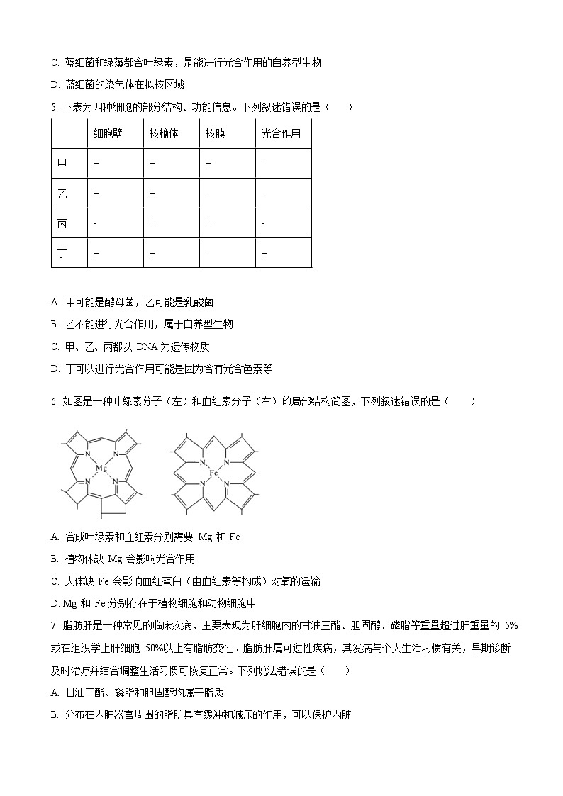 四川省内江市第一中学2025-2026学年高一上学期11月期中考试生物试卷第2页