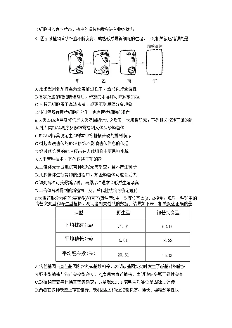江苏省常州市2025-2026学年高三上学期11月期中考试生物试卷第2页