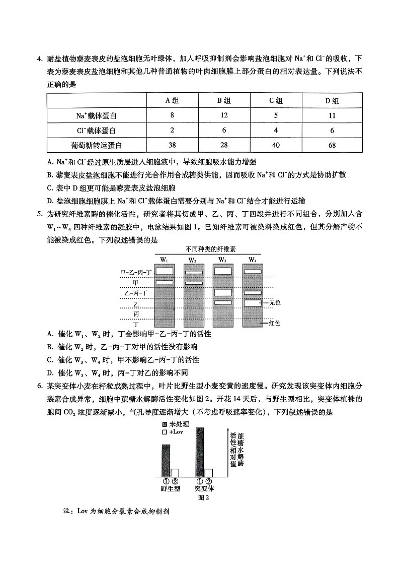 重庆市巴蜀中学2025-2026学年高三上学期11月考试生物试卷第2页