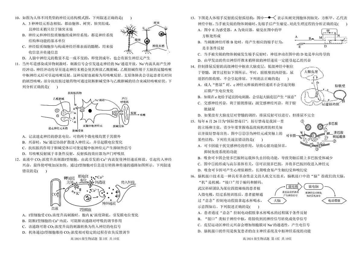 四川省南充高级中学2025-2026学年高二上学期11月期中生物试卷第2页