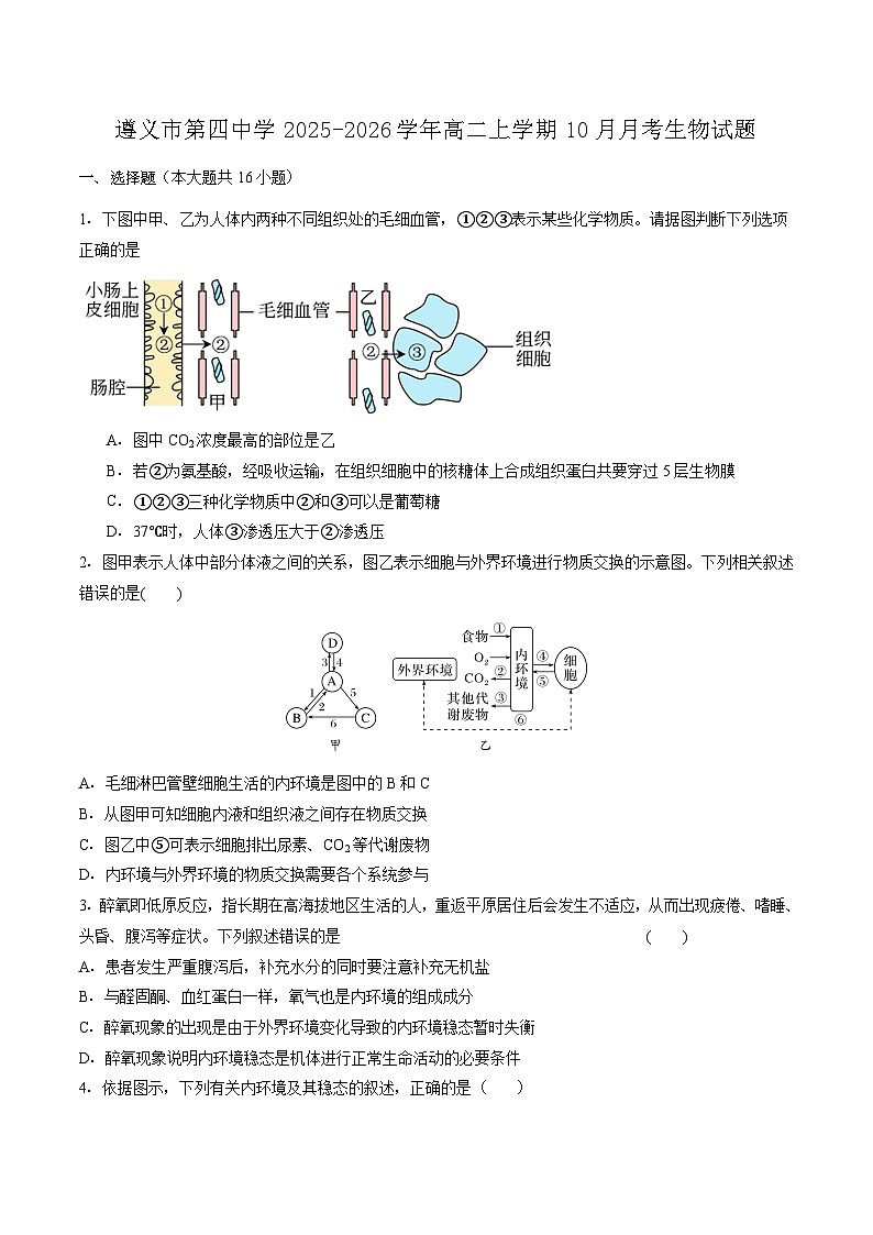 贵州省遵义市第四中学2025-2026学年高二上学期10月月考生物试卷（Word版附答案）第1页