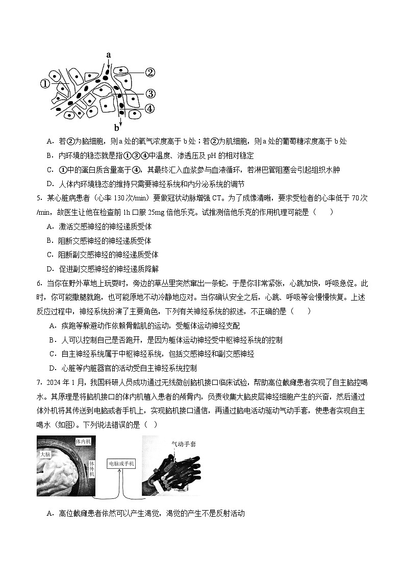 贵州省遵义市第四中学2025-2026学年高二上学期10月月考生物试卷（Word版附答案）第2页