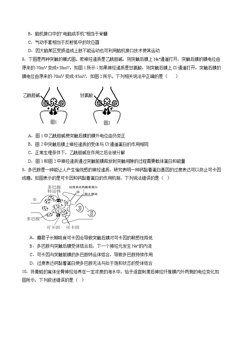 贵州省遵义市第四中学2025-2026学年高二上学期10月月考生物试卷（Word版附答案）第3页