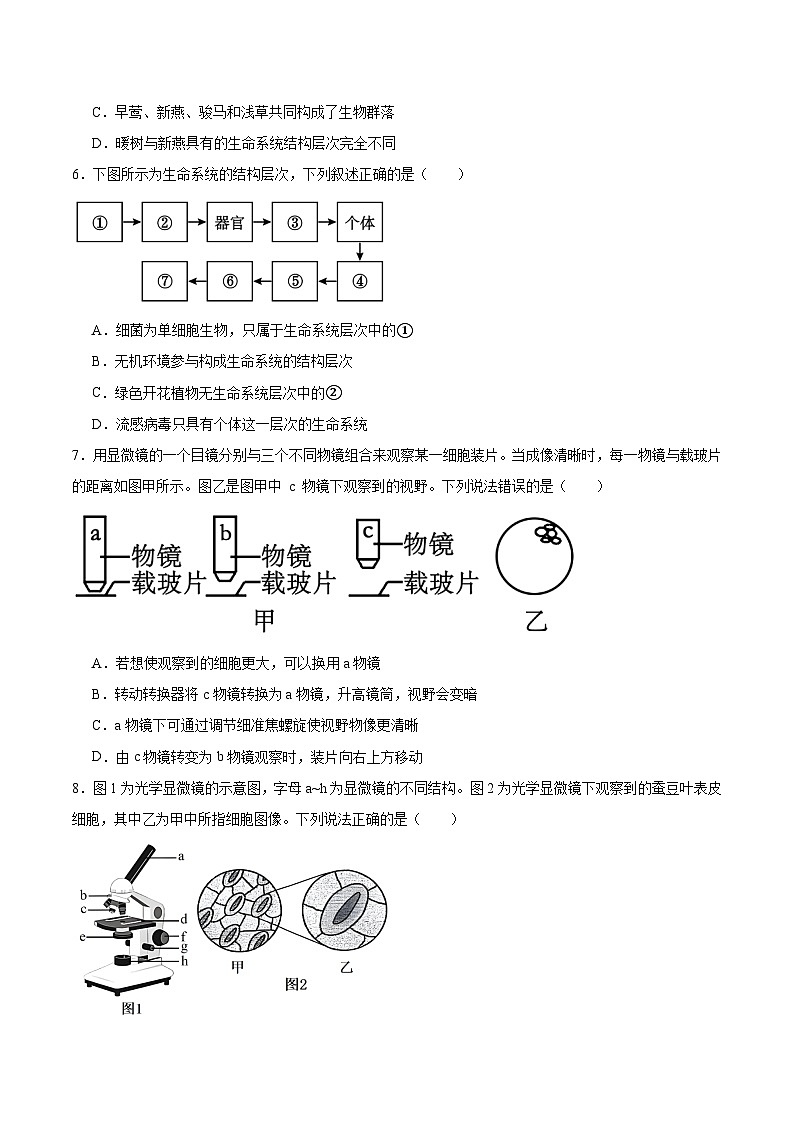 河北省保定市第一中学2025-2026学年高一上学期第一次阶段考试生物试卷（Word版附答案）第2页