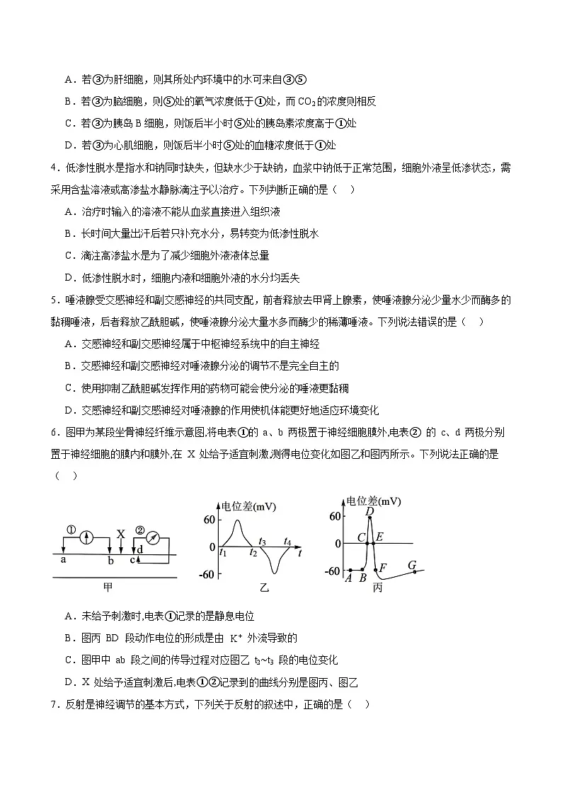 天津市静海区第一中学2025-2026学年高二上学期10月月考生物试卷（Word版附答案）第2页