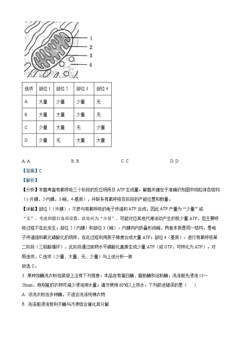 2025高考北京卷生物真题试卷（解析版）第2页