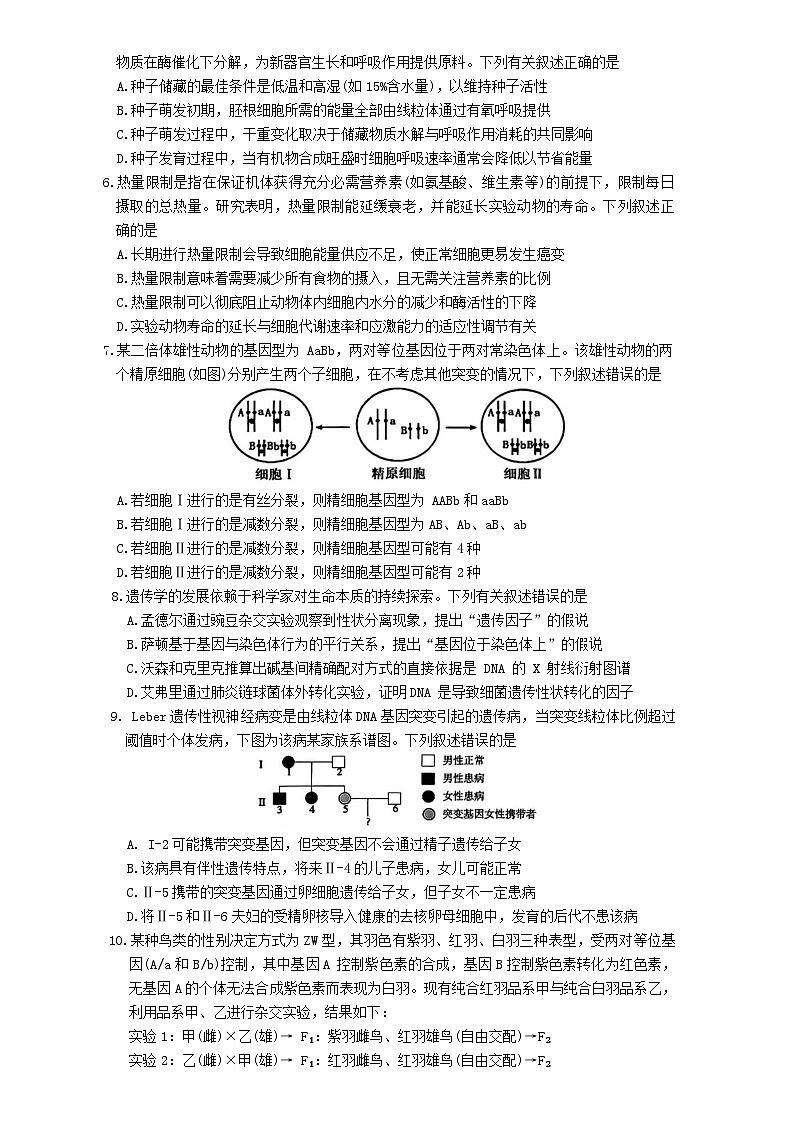 安徽省鼎尖名校2025-2026学年高三上学期11月第六届逐梦星辰联考生物试题（Word版附解析）第2页