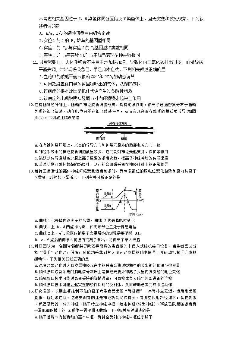 安徽省鼎尖名校2025-2026学年高三上学期11月第六届逐梦星辰联考生物试题（Word版附解析）第3页