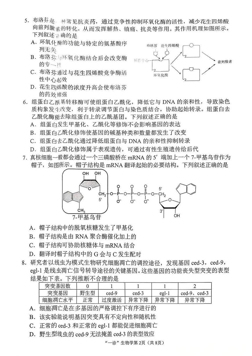 南充市高2026届高考适应性考试（一诊）生物试卷第2页