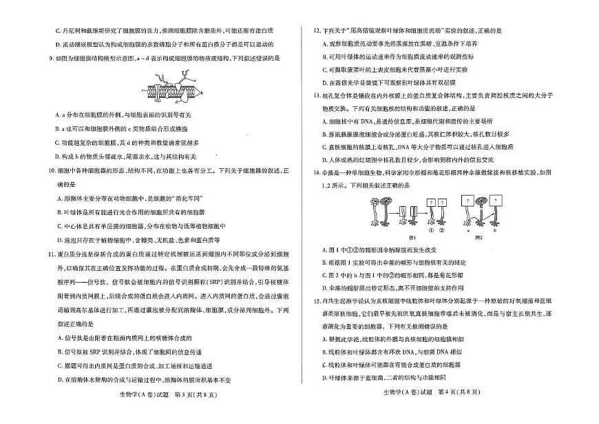 河南省天一大联考2025-2026学年高一上学期11月期中检测生物试题（A）含答案第2页