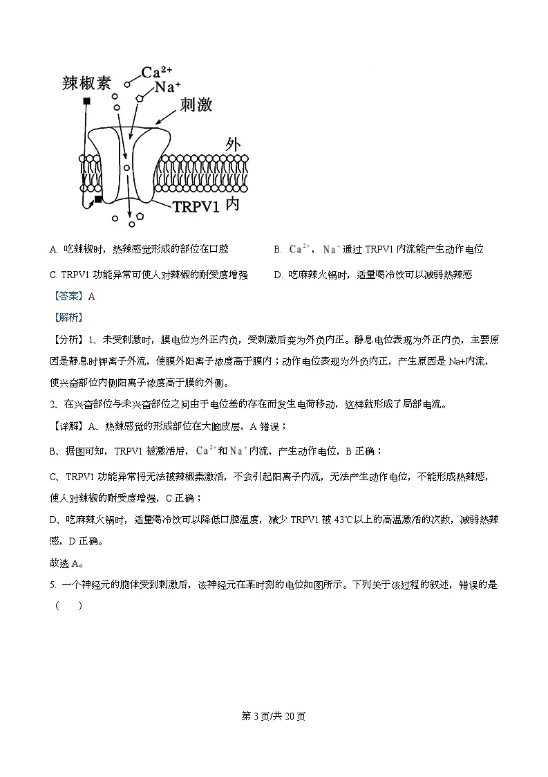黑龙江省牡丹江市第二高级中学2025-2026学年高二上学期期中考试生物试题 Word版含解析第3页