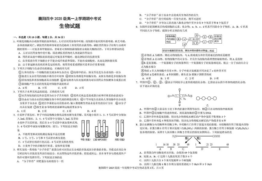 湖北省襄阳市第四中学2025-2026学年高一上学期11月期中考试生物试题（PDF版，含答案）第1页
