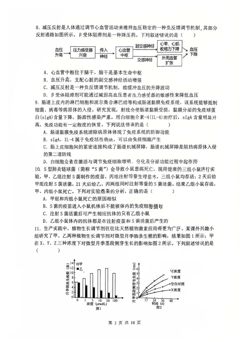 辽宁省沈阳市东北育才学校2025-2026学年高二上学期期中考试生物试卷第3页