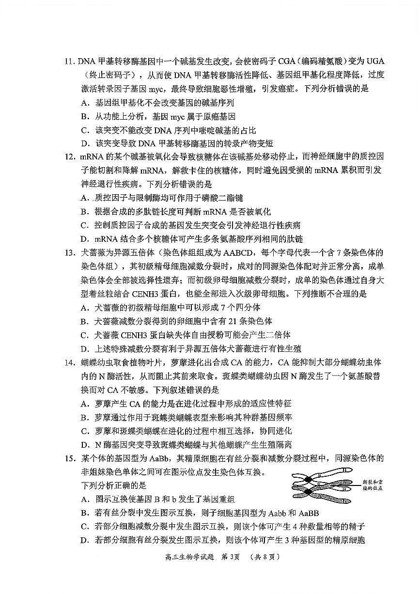 日照 生物试题第3页